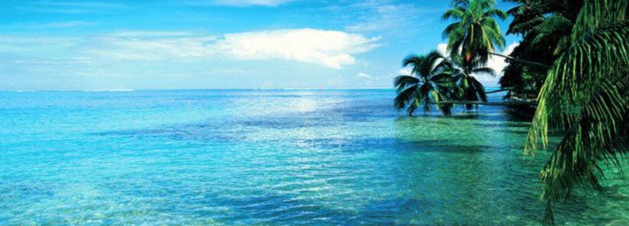 Seabreeze Collection