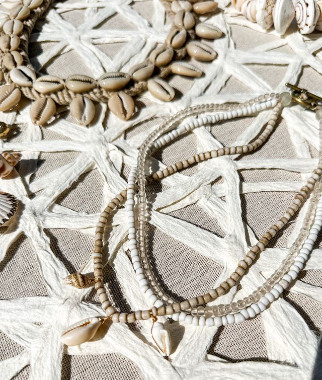 Seed Choker Necklace | White Shell