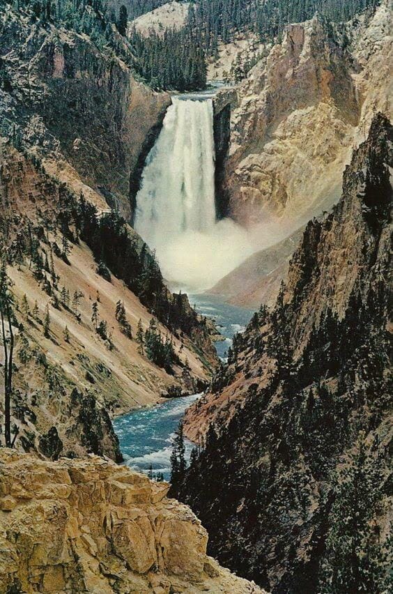 Single Stack Bracelet | Yellowstone