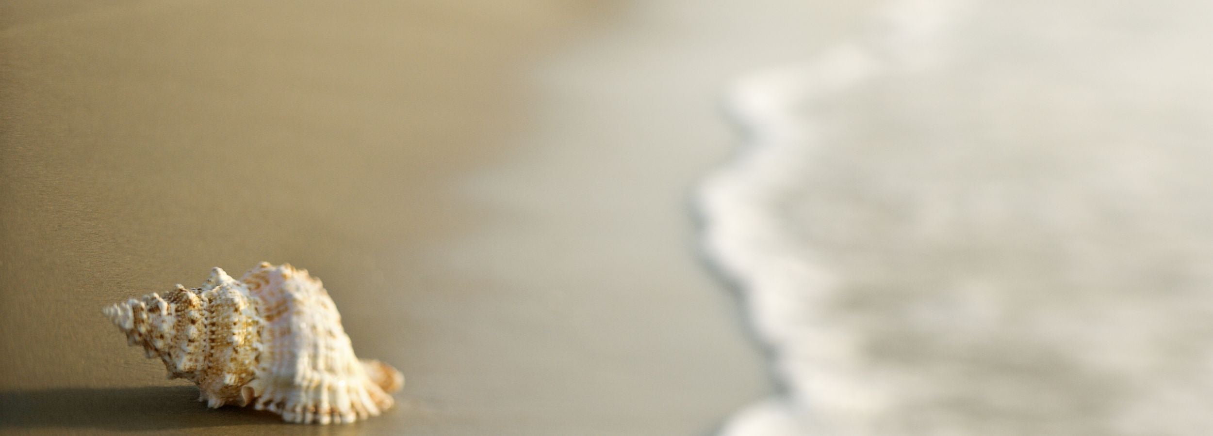 Shells