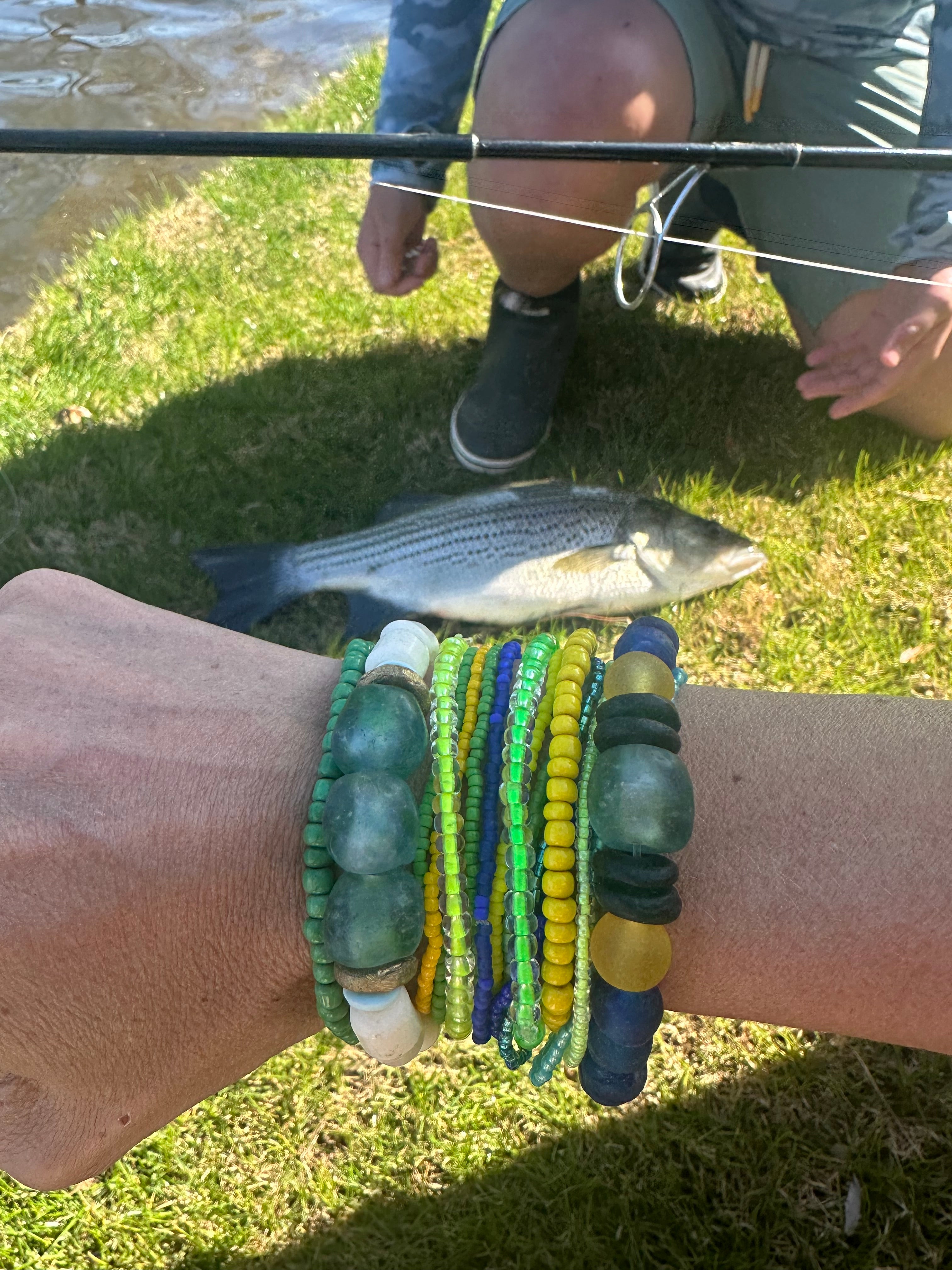 Arm Party | Rainbow Trout