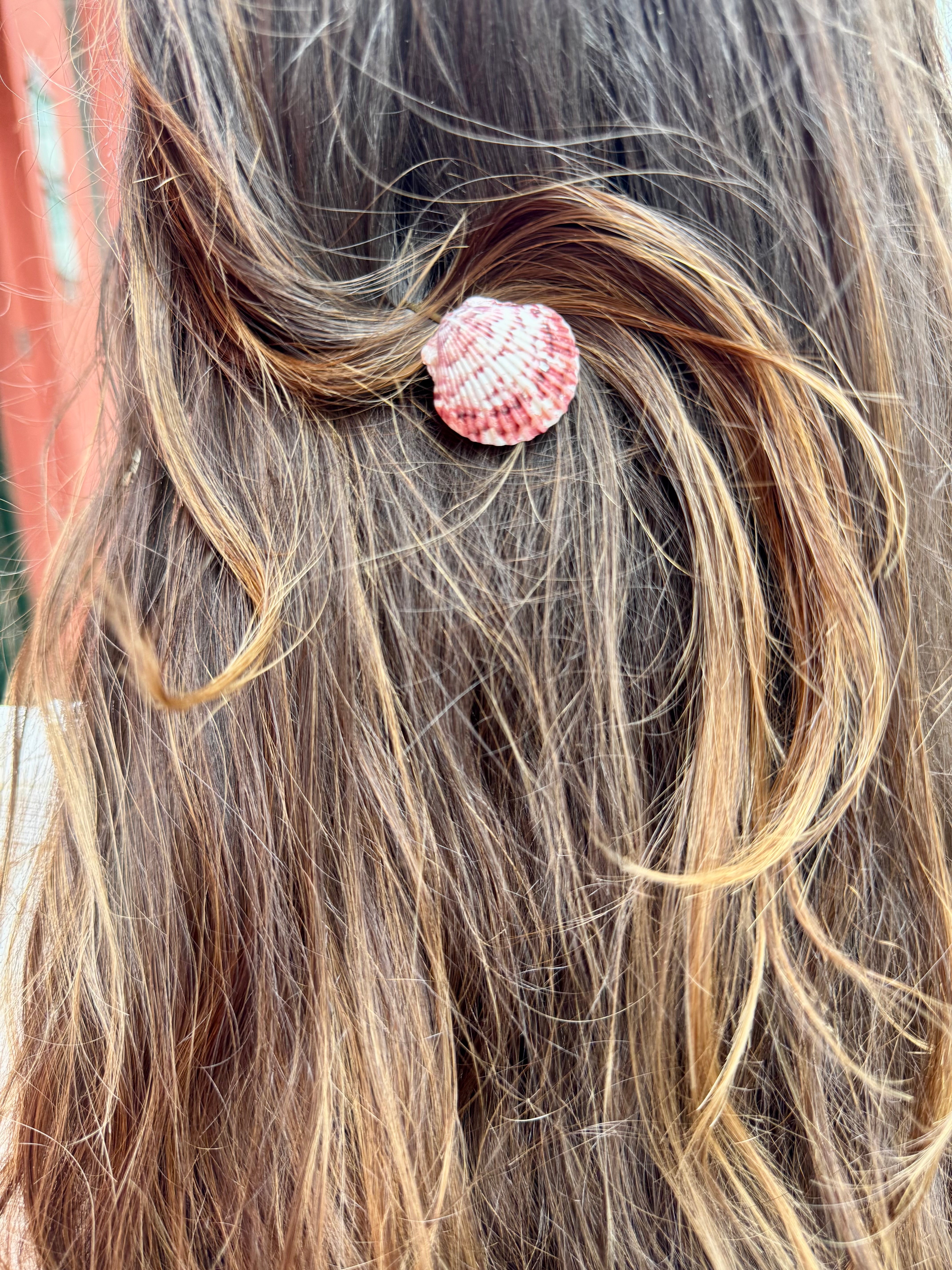 Shell Bobby Pin | No. 1